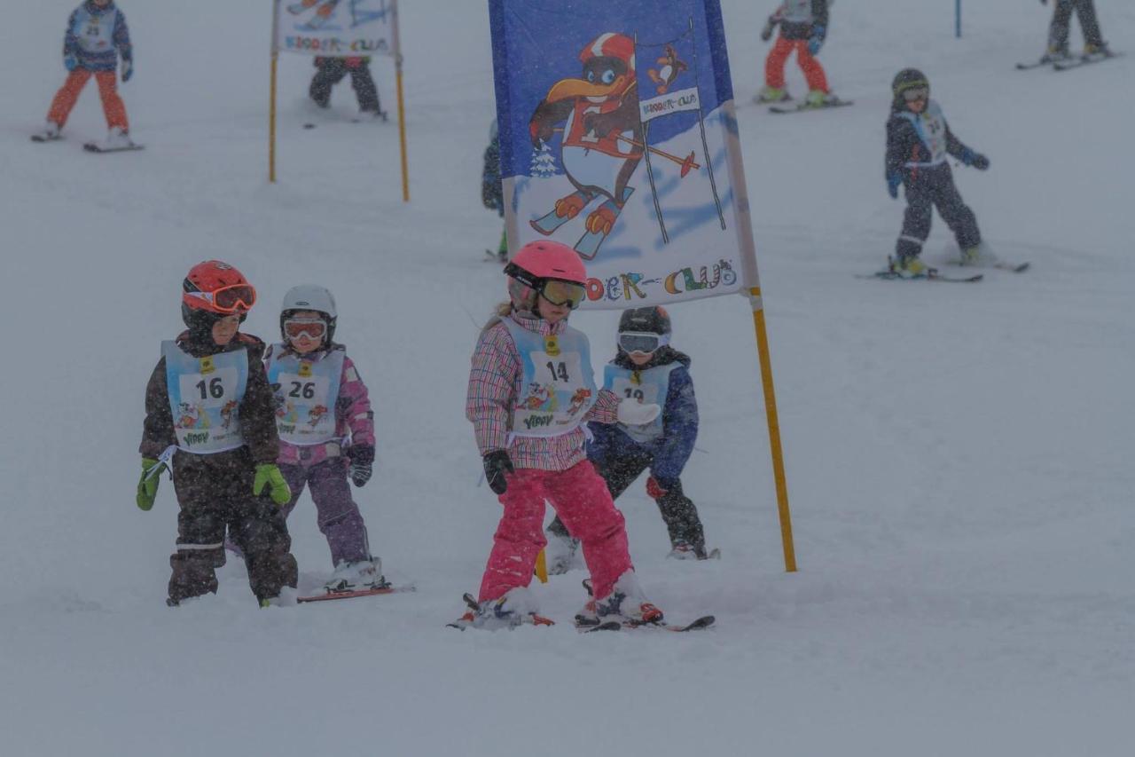 Ski- Und Wander Appartements Schiffer Innerkrems Eksteriør bilde